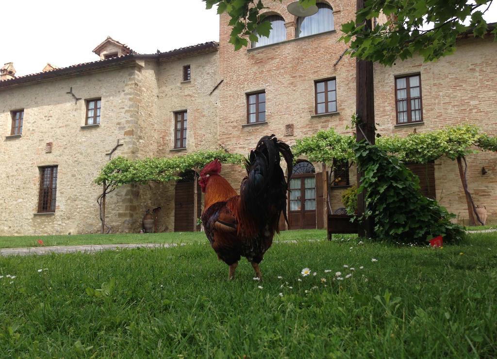 Residenza D'Epoca Il Biribino Hotel Citta di Castello Bagian luar foto